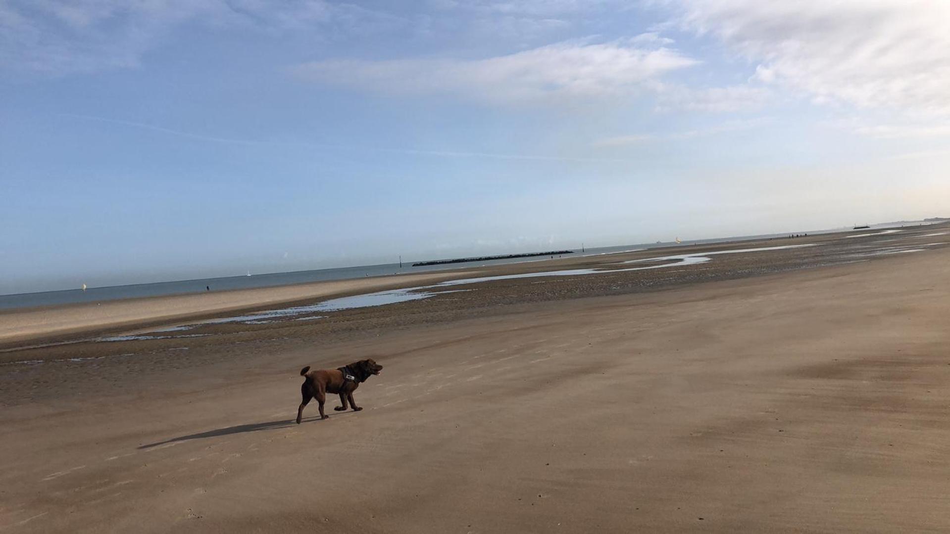 Appartement Sur La Plage De Malo Les Bains Vue Mer Dunkirk Exterior foto