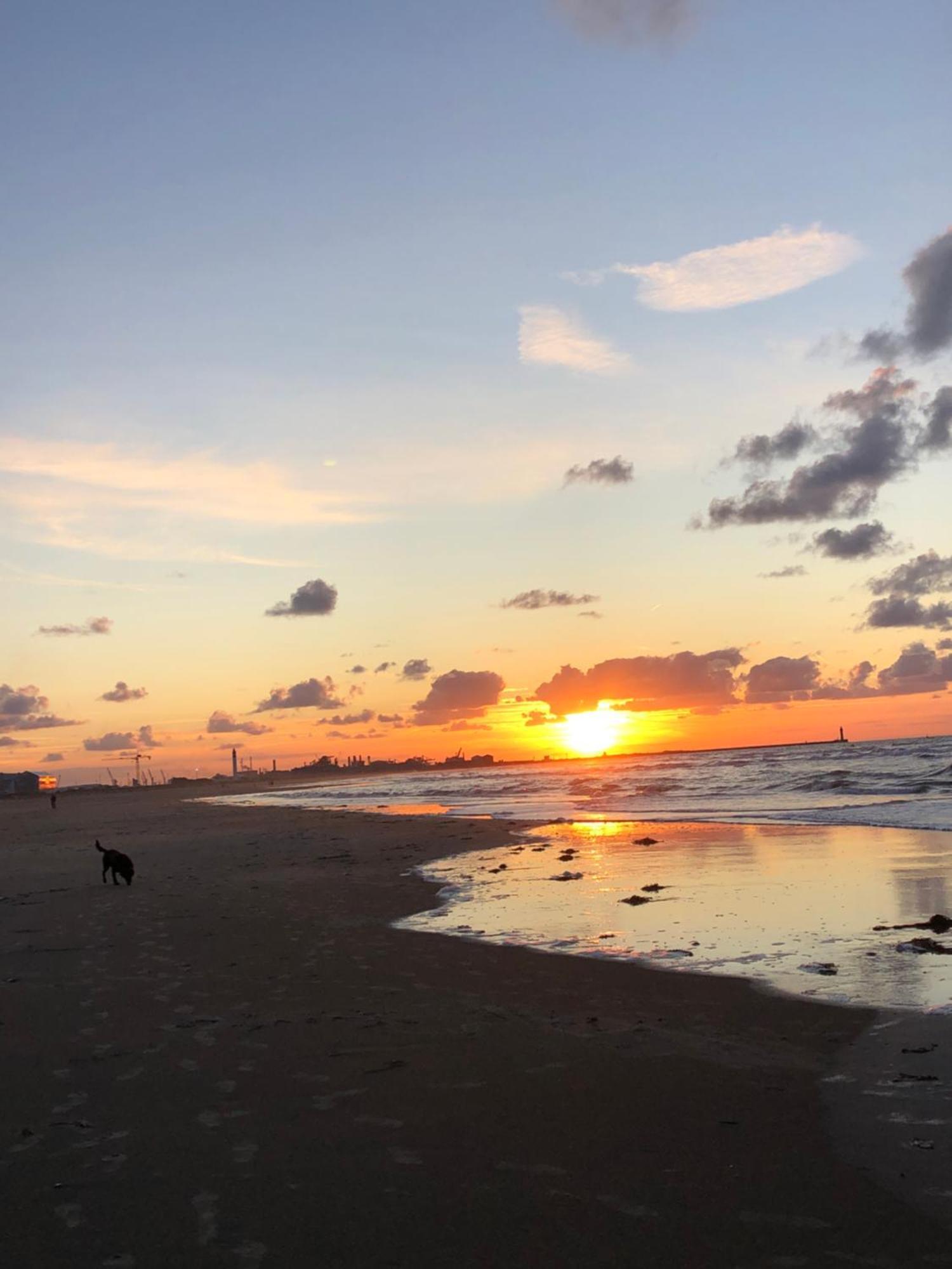 Appartement Sur La Plage De Malo Les Bains Vue Mer Dunkirk Exterior foto